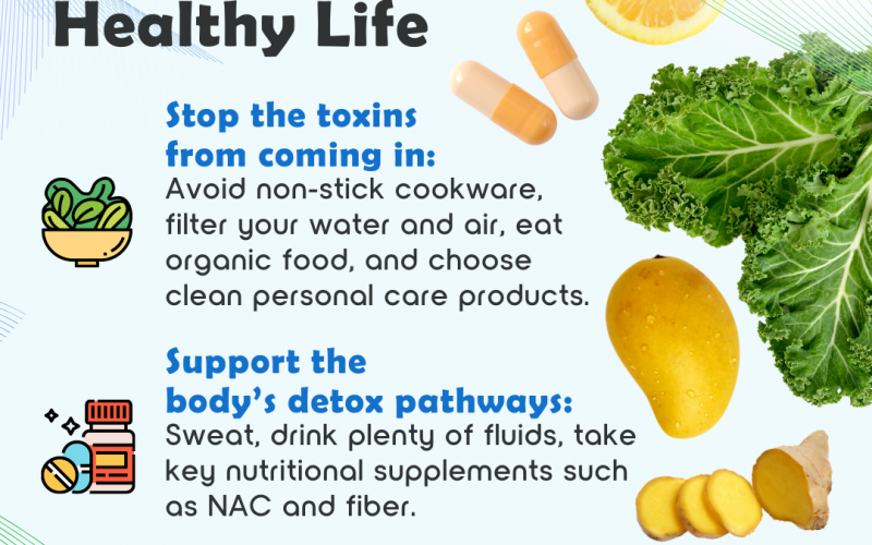 Everyday Detox Strategies for a Healthy Life