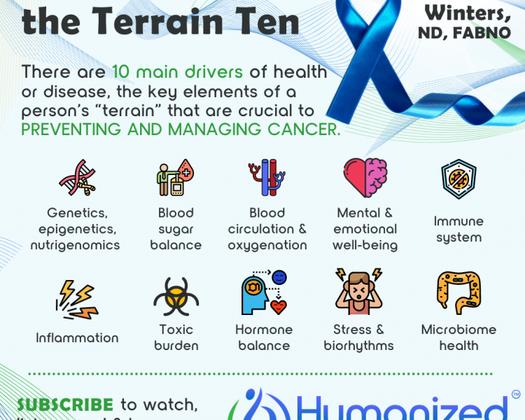 Introduction to the Terrain Ten