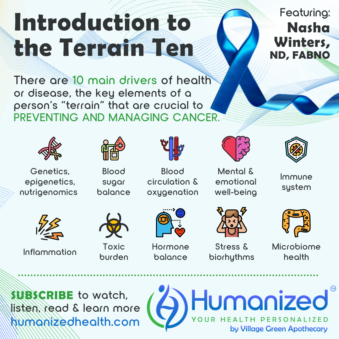 Introduction to the Terrain Ten