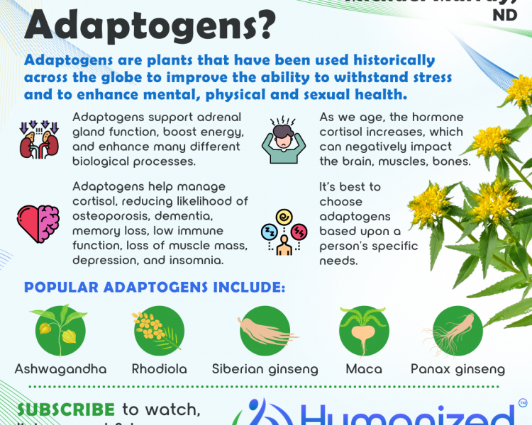 What Are Adaptogens?