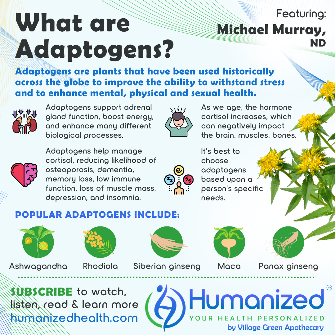 What Are Adaptogens?