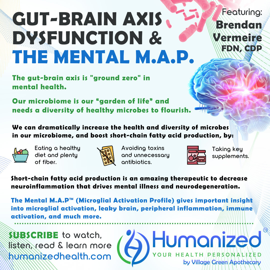 Gut-Brain Axis Dysfunction & The Mental M.A.P.™