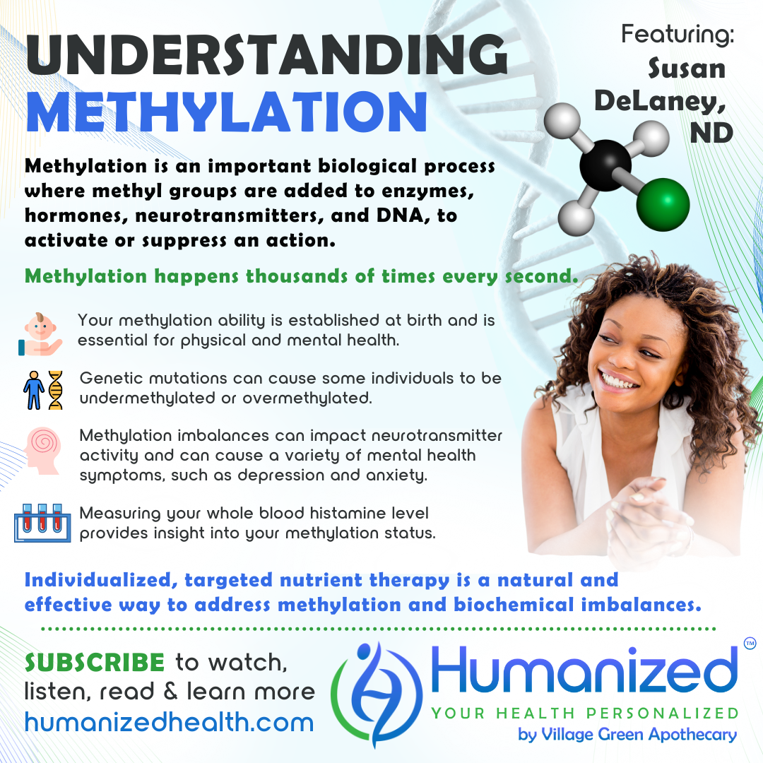 Understanding Methylation