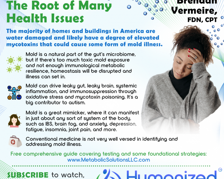 Mold Illness: The Root of Many Health Issues