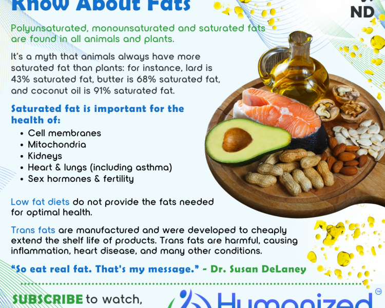 What You Need to Know About Fats