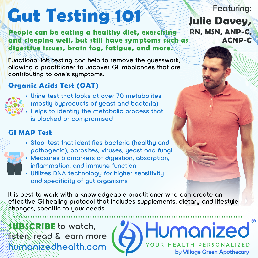 Gut Testing 101 – Humanized